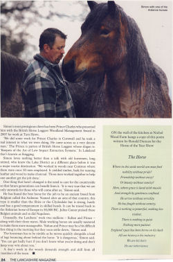Horse Logging Articles